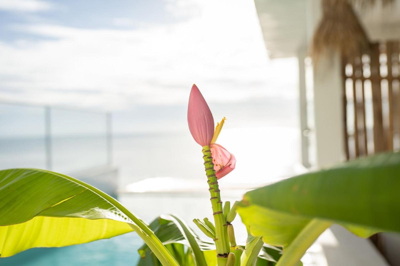 Sunrise Hotel Джамбиани Екстериор снимка